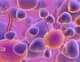 Slider image (10) World Stem Cells